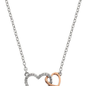 Hot Diamonds Stříbrný náhrdelník s pravým diamantem Flora DP732