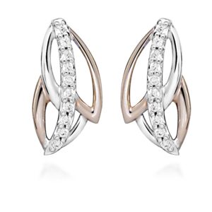 Silver Cat Třpytivé bicolor náušnice s kubickými zirkony SC476