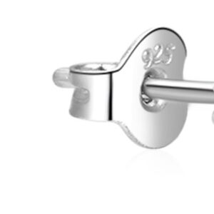 Beneto Stříbrné náušnice se zirkonem AGUP2552