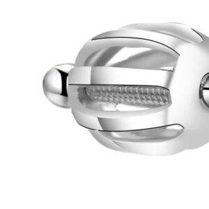 Beneto Stříbrné náušnice s třpytivým zirkonem AGUP1718S