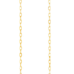 Soliter Půvabné zlaté dlouhé náušnice 231 001 00655