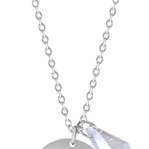 Troli Ocelový náhrdelník Ryby se zirkonem (řetízek