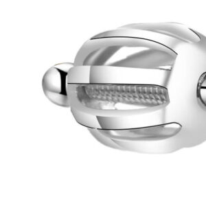 Beneto Stříbrné náušnice s třpytivým zirkonem AGUP1714S