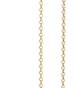 Troli Dlouhé pozlacené náušnice s podlouhlým přívěskem