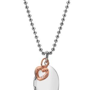 Hot Diamonds Půvabný stříbrný bicolor náhrdelník s diamantem Memories DP881 (řetízek