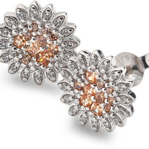 Hot Diamonds Stříbrné náušnice Emozioni Spirzzare EE032