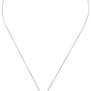 JVD Ocelový náhrdelník s mušlí SSSN0024S20BI00