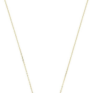 Michael Kors Něžný pozlacený náhrdelník se zirkony MKC1208AN710