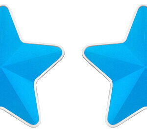 Preciosa Ocelové náušnice s matnou hvězdičkou Virgo Akva 7343 77