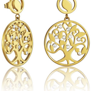 Viceroy Elegantní pozlacené náušnice s krystaly Happiness 80007E11012