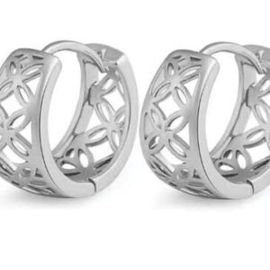 JVD Něžné kruhové náušnice SVLE1063XH20000