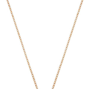 Swarovski Labutí náhrdelník Iconic Swan 5204133