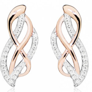 Silver Cat Elegantní bicolor náušnice se zirkony SC434