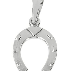 Soliter Stříbrný přívěsek Podkova 441 001 01026 04