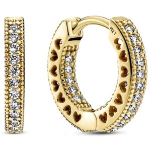 Pandora Třpytivé kruhové náušnice Shine 266317C01